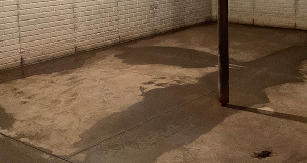 about magic city waterproofing basement with water in it